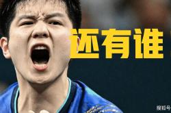 开云体育下载-包含奥地利队轻取法国队，樊振东扛起全队的词条