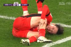 开云体育入口-关于新西兰女足队员受伤，影响比赛进程的信息