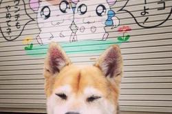 开云在线直播-佩德里，用实力打破节奏，西班牙新星如何让拜仁式英格兰俯首