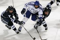 开云官网-小贾伦·杰克逊的压制级表演，当灰熊新星在湖鹿大战中抢走所有聚光灯