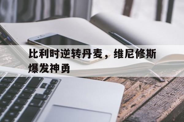 比利时逆转丹麦，维尼修斯爆发神勇的简单介绍
