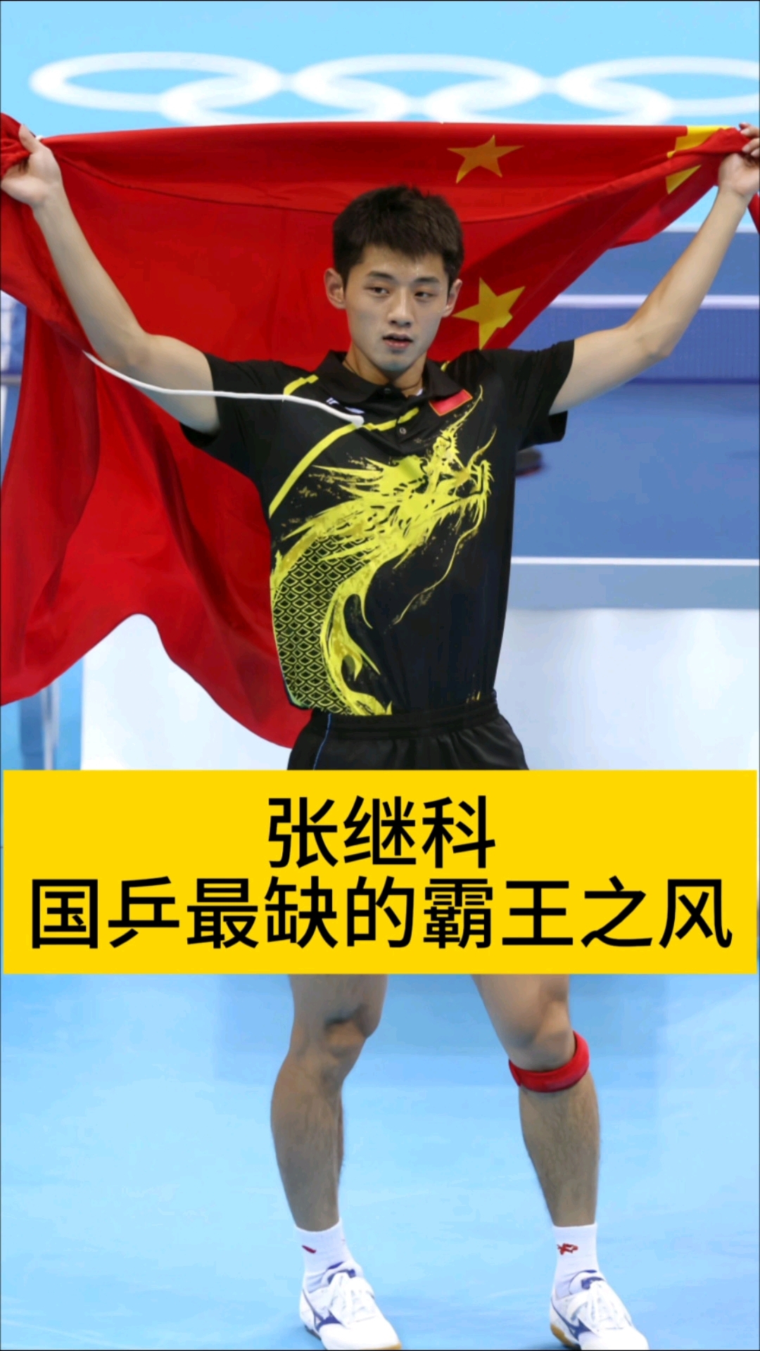 法国乒乓球队逆转日本乒乓球队，张继科统治全场的简单介绍