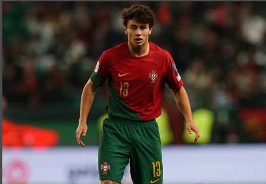 里昂强势葡萄牙，布鲁诺·费尔南德斯打破历史纪录的简单介绍