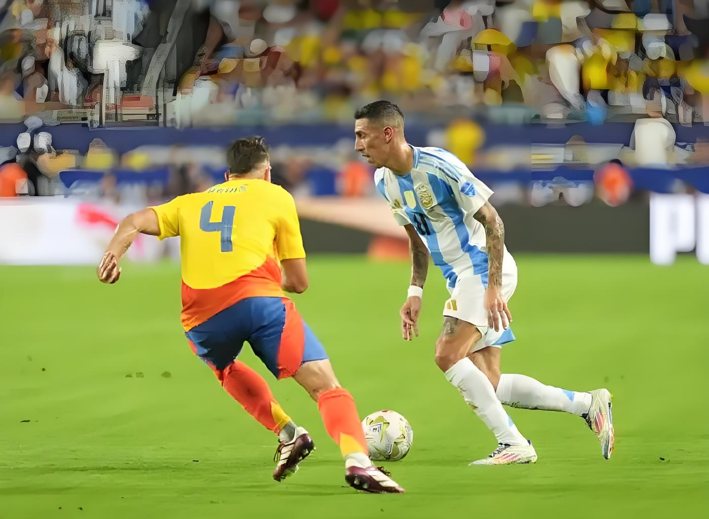 哥伦比亚队主场击败对手晋级到八强