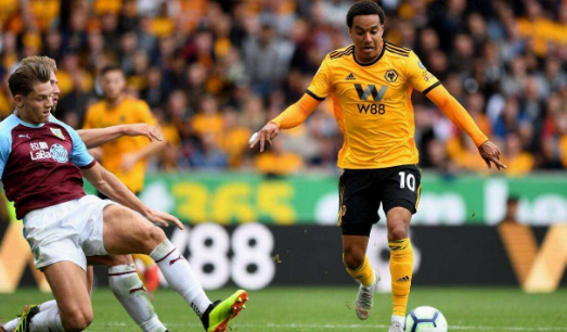 南安普顿客场战平狼队,延续不败战绩的简单介绍 南安普顿客场战平狼队,延续不败战绩的简单介绍