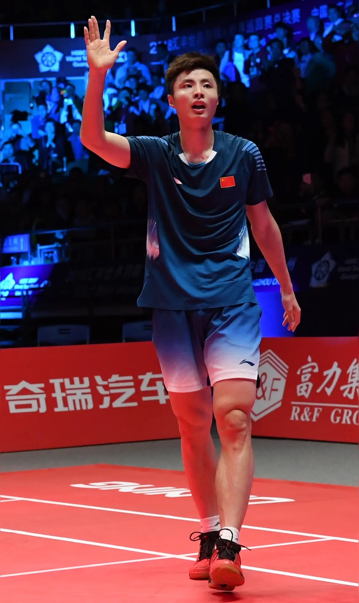 德国队逆转法国队，石宇奇高光表现的简单介绍