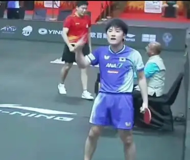 关于法国队翻盘奥地利队，张本智和带队取胜的信息