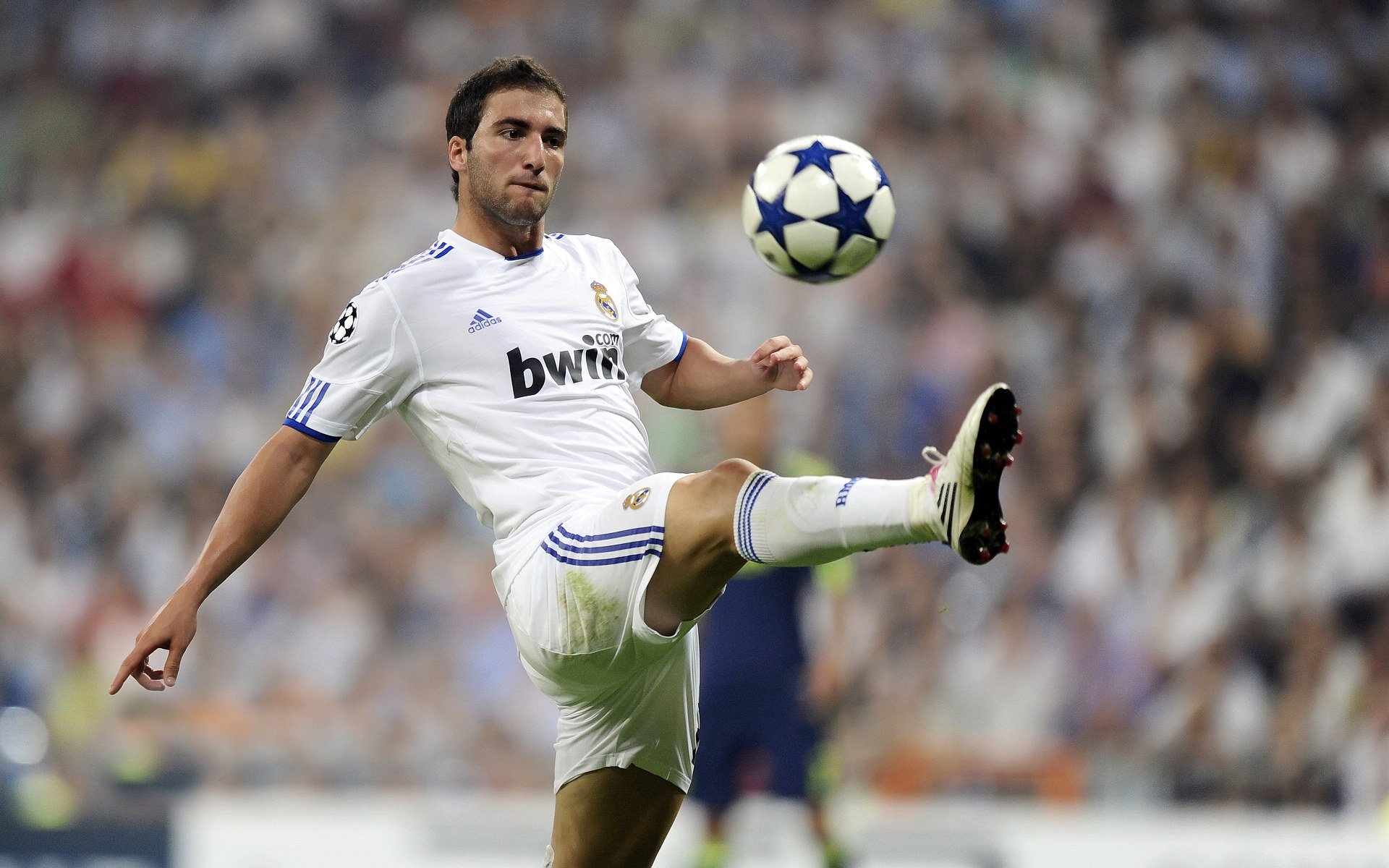 当骑士的铁蹄踏过灰熊的领地，戈贝尔在西决生死战中成为唯一的王