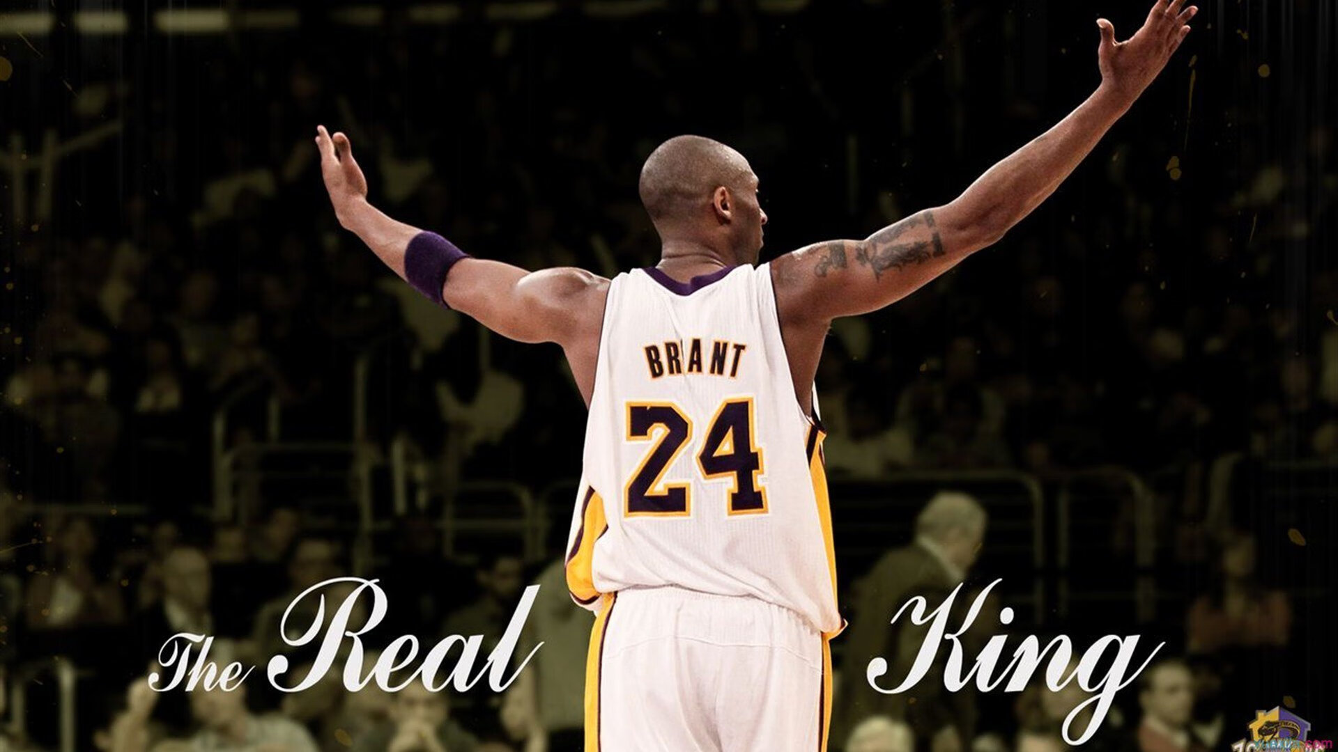 提前终结悬念！深圳队灰熊之战德罗赞化身关键先生